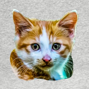 Cute Kitten T-Shirt